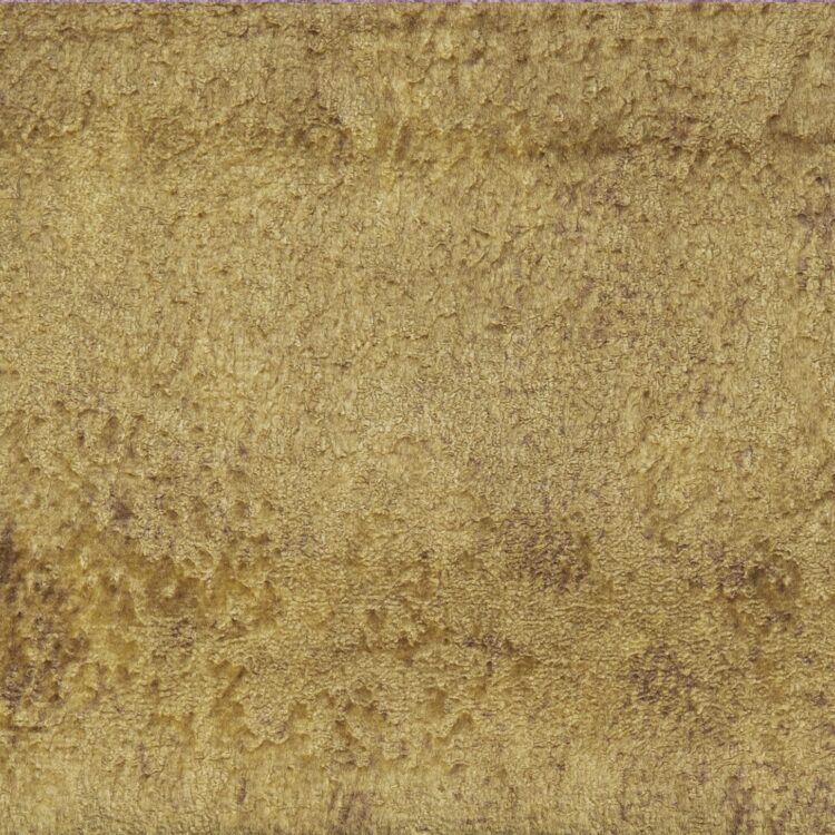 18 Ocre
